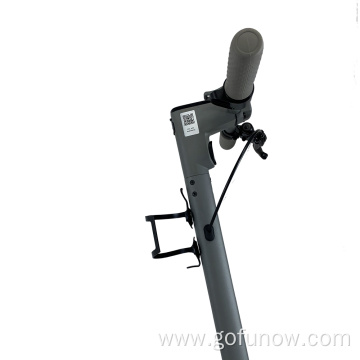 10inch swappable battery USB phone charge electric scooters